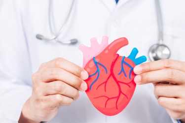ASD VSD Closure in India, Heart Closure Surgery in India, Best Cardiologist in Punjab, Dr Sandeep Parekh Cardiologist in Mohali, Cost of ASD VSD in India